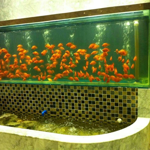 觀賞魚缸